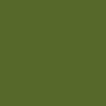 MUNGYO DRY PASTEL OLIVE GREEN MPA 573