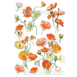 CALAMBOUR DECOUPAGE PAPER 48/33 CM - PAU 80