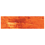 CARAN D'ACHE OIL CRAYONS NEOPASTEL WORM.-ORANGE