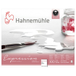 HAHNEMUHLE SKETCHBOOK EXPRESSION 24/30 CM, 300 GR, 20 SHEETS