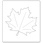 SIZZIX BIGZ CUTTING DIES - LEAF, MAPLE - Image 3
