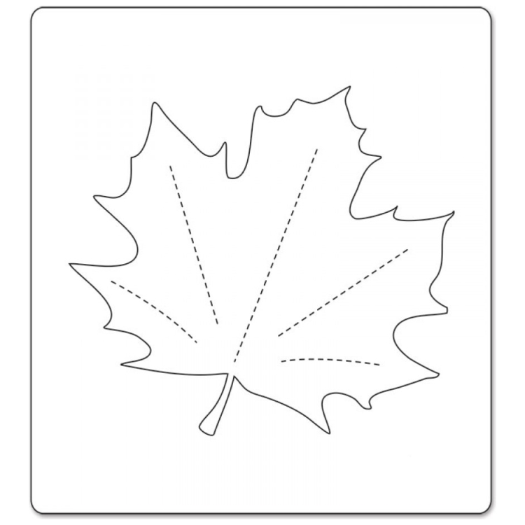 SIZZIX BIGZ CUTTING DIES - LEAF, MAPLE - Image 3