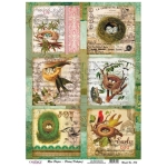 CADENCE DECOUPAGE RICE PAPER A3 - 376