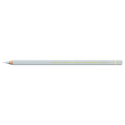 CARAN D'ACHE FLOWER PENCILS PABLO LIGHT GREY