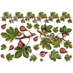 CALAMBOUR DECOUPAGE PAPER 48/33 CM - PAU 47