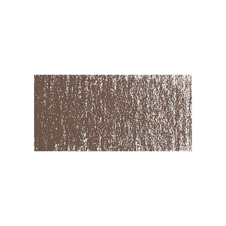 720407 CARAN D'ACHE DRY PASTELS SOFT PASTELS CUTTLEFISH - Image 1