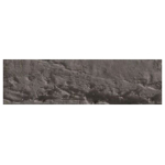 CARAN D'ACHE OIL PASTELS NEOPASTEL VAN BRAUN