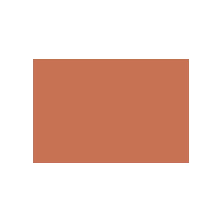 788044 CARAN D'ACHE PASTEL PENCILS - TERRACOTTA - Image 1