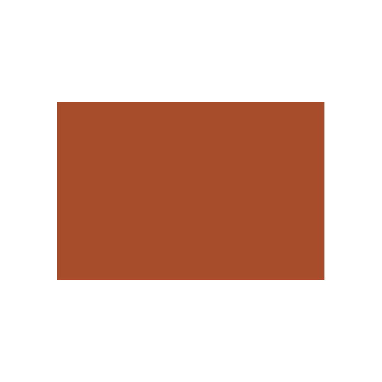 788064 CARAN D'ACHE PASTEL PENCILS - MEDIUM RUSSET - Image 1
