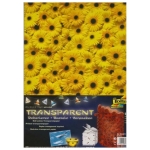 FOLIA FLOWER TRACING FOR DECORATION GERBERAS 115 G 23/33 CM