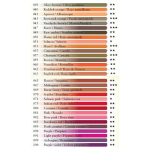 CARAN D'ACHE COLORED PENCILS PABLO OLIVE BROWN