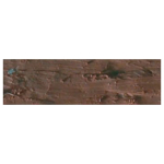 CARAN D'ACHE OIL PASTELS NEOPASTEL BROWN