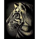 REEVES SCRATCH PAINTING KIT - TIGER PPCFM62 - Image 2