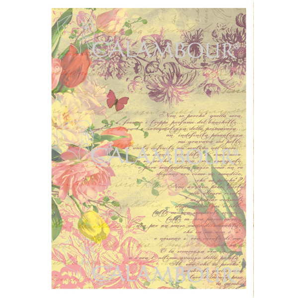 _0098_DGR 173 CALAMBOUR DECOUPAGE PAPER 48/33 CM - DGR 173 - Image 1