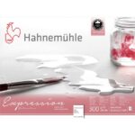 HAHNEMUHLE SKETCHBOOK EXPRESSION 30/40 CM, 300 GR, 20 LEAVES