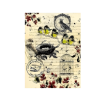 CADENCE DECOUPAGE RICE PAPER A3 - 147