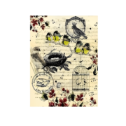 CADENCE DECOUPAGE RICE PAPER A3 - 147