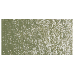 CARAN D'ACHE OIL PASTELS NEOPASTEL OLIVE GREY