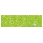 CARAN D'ACHE OIL CRAYONS NEOPASTEL YELLOW GREEN