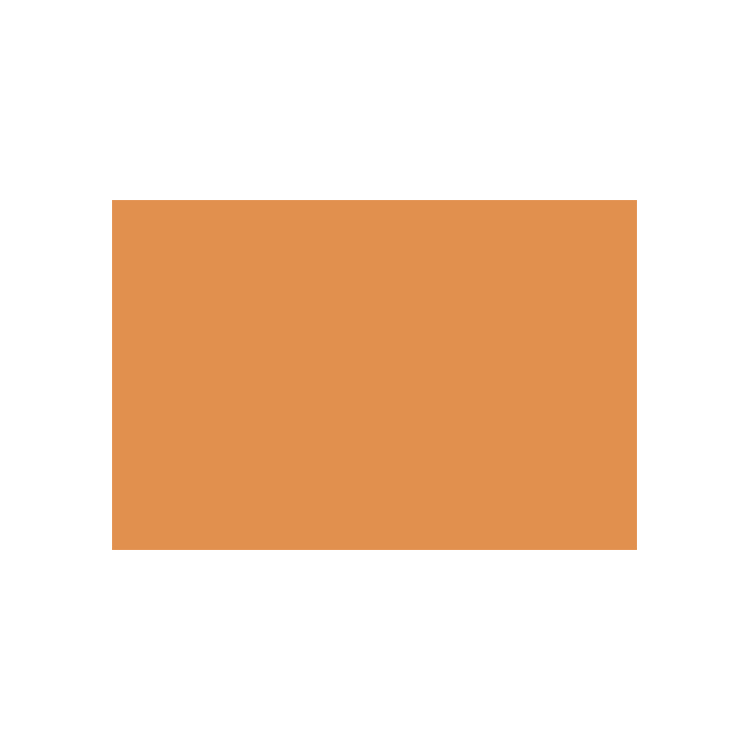 788052 CARAN D'ACHE PASTEL PENCILS - SAFFRON - Image 1