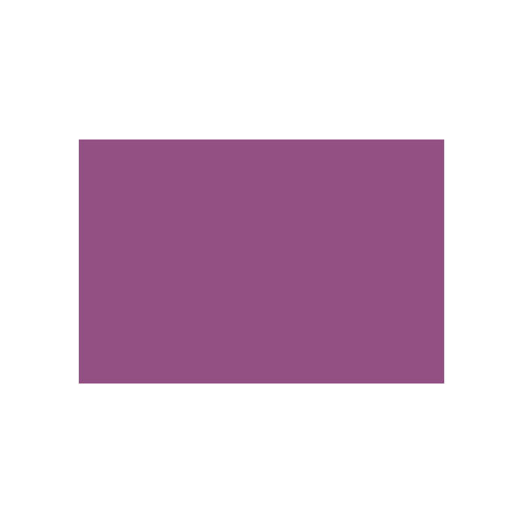 CARAN D'ACHE PASTEL PENCILS - AUBERGINE - Image 1
