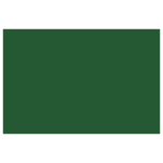 CARAN D'ACHE PASTEL PENCILS - MOSS GREEN