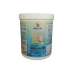 ARTIDEE GYPSUM HAND CASTING KIT 60211