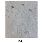 NEPALESE HAND PAPER F-2 60 G, 50/75