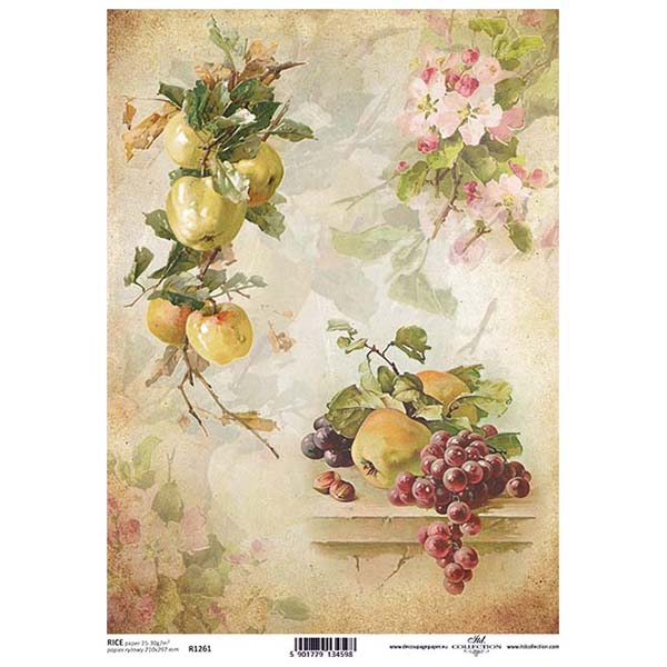 1261 ITD COLLECTION DECOUPAGE RICE PAPER A4 - R1261 - Image 1