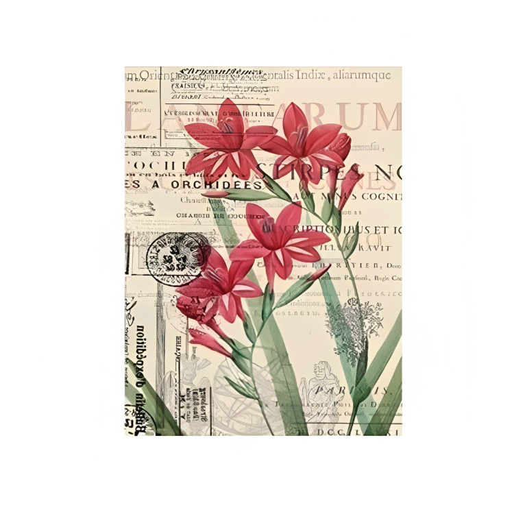 147056 (1) CADENCE DECOUPAGE RICE PAPER A4 - 056 - Image 1