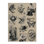 CADENCE DECOUPAGE RICE PAPER A4 - 212