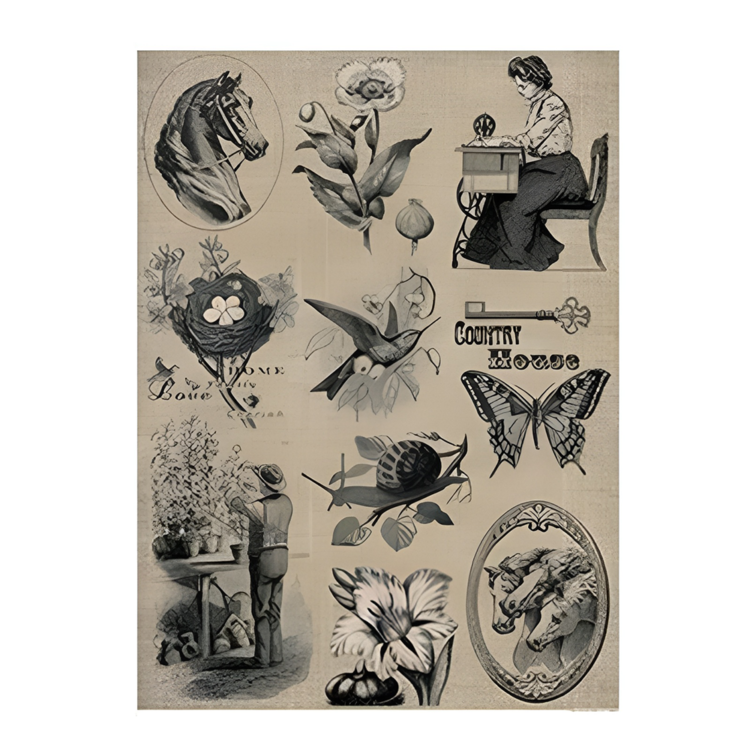 CADENCE DECOUPAGE RICE PAPER A4 - 212 - Image 1