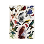 CADENCE DECOUPAGE RICE PAPER A3 - 048