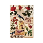 CADENCE DECOUPAGE RICE PAPER A3 - 049