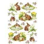 CALAMBOUR DECOUPAGE PAPER 48/33 CM - RP 53