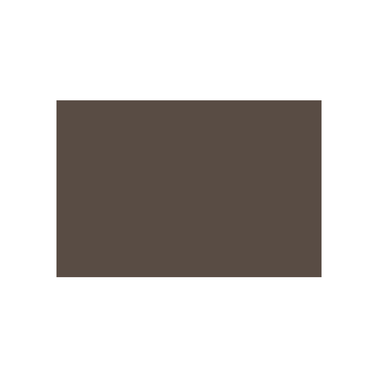 788046 CARAN D'ACHE PASTEL PENCILS - CASSEL EARTH - Image 1