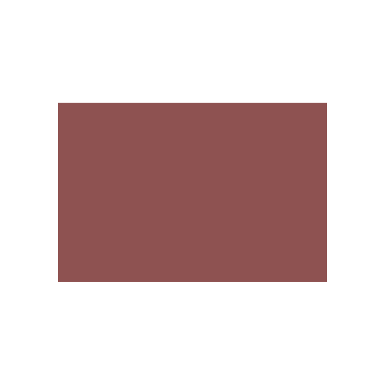 788069 CARAN D'ACHE PASTEL PENCILS - BURNT SIENNA - Image 1
