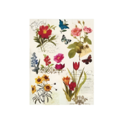 CADENCE DECOUPAGE RICE PAPER A4 - 042