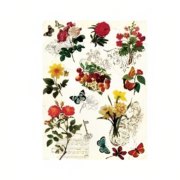 CADENCE DECOUPAGE RICE PAPER A3 - 041