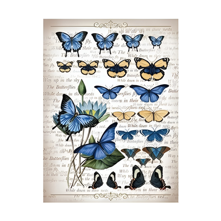 162196-141941 CADENCE DECOUPAGE RICE PAPER A3 - 196 - Image 1