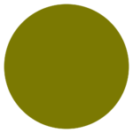 ARASILK SILK DYES 50 ML. - ARMY