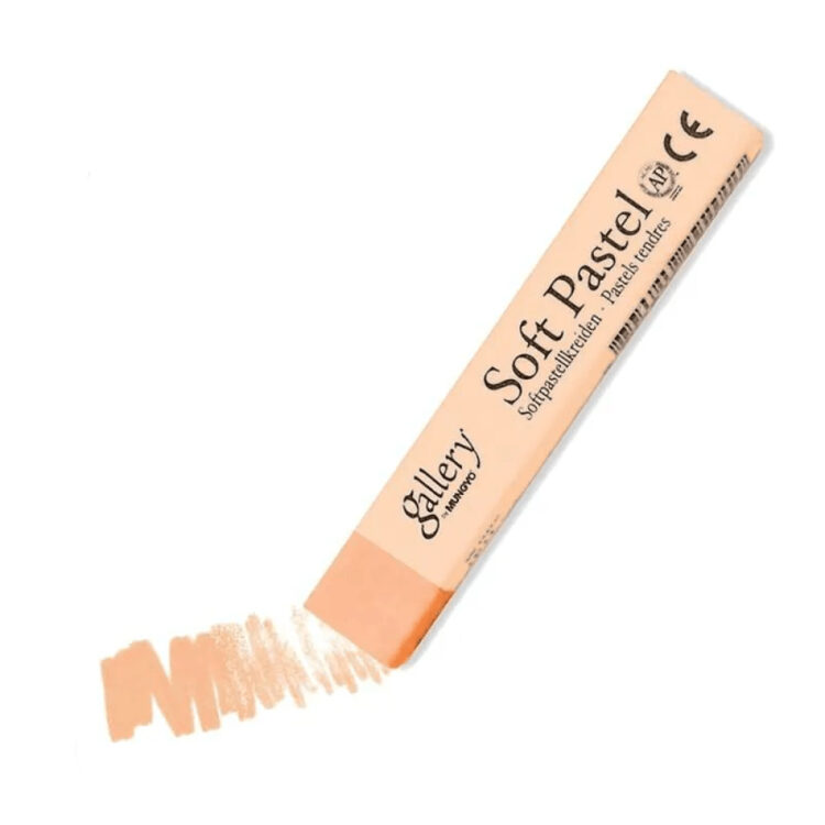 333005 MUNGYO DRY PASTEL FLESH MEDIUM MPV 005 - Image 1