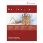 HAHNEMUHLE SKETCHBOOK BRITANIA MATT 300G 30/40 CM 12L.