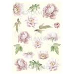 CALAMBOUR DECOUPAGE PAPER 48/33 CM - PAU 01