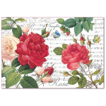 STAMPERIA DECOUPAGE RICE PAPER 48/33 - DFS397