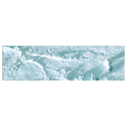 CARAN D'ACHE OIL PASTELS NEOPASTEL SILVER GREY
