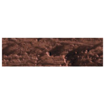 CARAN D'ACHE OIL CRAYONS NEOPASTEL WORM.- BROWN