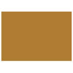 CARAN D'ACHE PASTEL PENCILS - RAW RUSSET