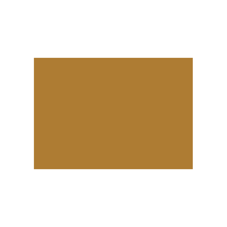 788066 CARAN D'ACHE PASTEL PENCILS - RAW RUSSET - Image 1
