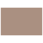 CARAN D'ACHE PASTEL PENCILS - DARK FLESH 50 %